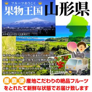 もも 5kg 大特価 山形の白桃 山形産 真夏...の詳細画像3