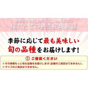 もも 5kg 大特価 山形の白桃 山形産 真夏...の詳細画像5