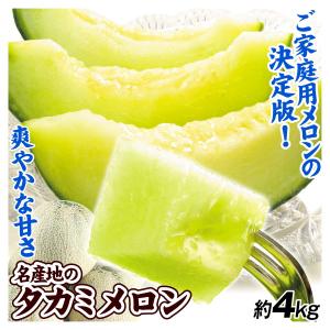メロン 約4kg 名産地のタカミメロン ご家庭用 青肉 送料無料 食品