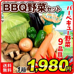 野菜セット 国産 バーベキュー野菜セット 9種1箱  BBQ