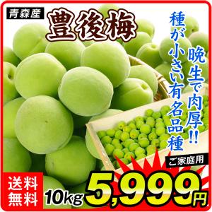 梅 青森産 生梅 豊後梅 10kg1組 送料無料 生梅 木箱 食品 国華園