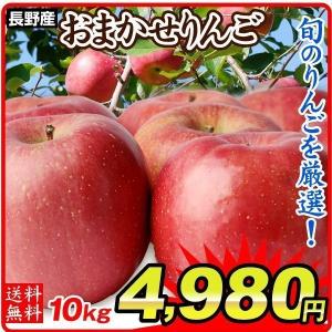 りんご　長野産 おまかせりんご 品種おまかせ 10kg1箱 食品 国華園