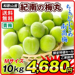 生梅 和歌山産 紀州南高梅 青梅 Mサイズ紀南の梅丸 10kg 1箱 送料無料 梅酒 甘露煮 国華園