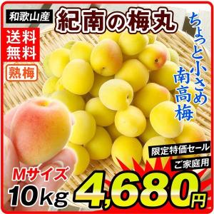 生梅 和歌山産 紀州南高梅 熟梅 Mサイズ紀南の梅丸 10kg  送料無料 うめ ウメ 梅 梅干し  国華園