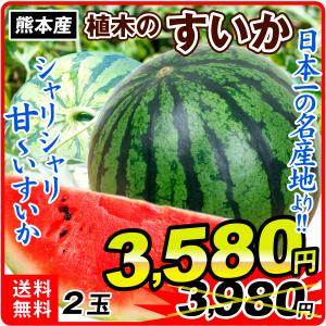 すいか 熊本産 すいか 2玉 1組 フルーツ 食品 国華園