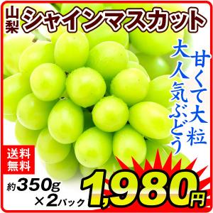 ぶどう  山梨産 シャインマスカット 約350g×2 ご家庭用 パック 葡萄 ブドウ フルーツ くだもの 食品 国華園