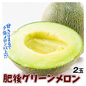 メロン 2玉 肥後グリーンメロン 熊本産 約3kg ご家庭用 送料無料 食品 国華園