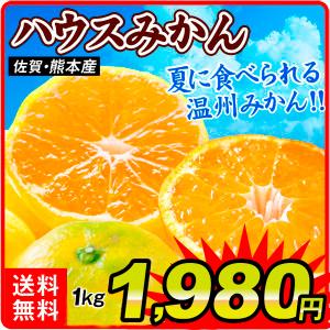 みかん ハウスみかん (ただいま出荷中) 佐賀・熊本産 １kg 送料無料 国華園