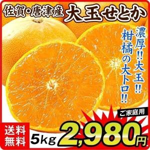 せとか みかん 5kg 佐賀 唐津産 大玉 せとか ご家庭用 送料無料 食品