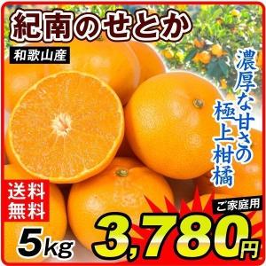 せとか みかん 5kg 和歌山産 紀南のせとか 送料無料 ご家庭用 柑橘 フルーツ 国華園