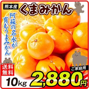 みかん 10kg 熊本産 くまみかん ご家庭用 蜜柑 柑橘 フルーツ 果物 国華園