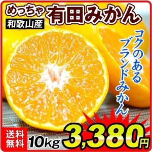 みかん 和歌山産 ご家庭用 めっちゃ有田みかん 10kg 1箱 送料無料 有田 ブランド 蜜柑 食品 国華園