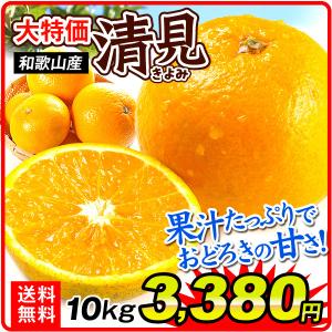 みかん 清見 10kg 和歌山産 大特価 清見 送料無料 ご家庭用 きよみ 数量限定 食品 国華園