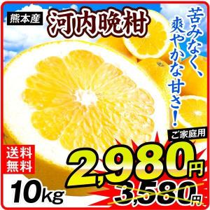 みかん 10kg 熊本産 お買得 河内晩柑 送料無料 ご家庭用 かわちばんかん ジューシーオレンジ 和製グレープフルーツ 国華園