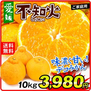 不知火 みかん 10kg 愛媛産 ご家庭用 しらぬい デコポンと同品種 送料無料 食品 フルーツ 果物 国華園