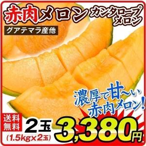 食みらい・国華園 - メロン（果物・フルーツ）｜Yahoo!ショッピング
