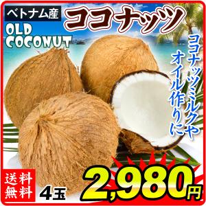 ココナッツ ベトナム産 4玉 オールドココナッツ 南国 送料無料 食品 フルーツ 果物 国華園｜seikaokoku