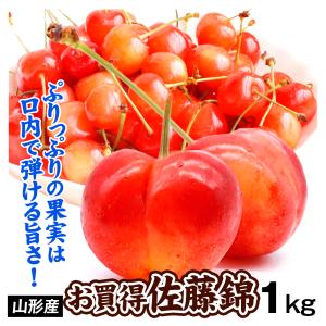 佐藤錦 さくらんぼ 1kg 山形産 さとうにしき ご家庭用 送料無料 数量限定 食品