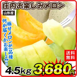 メロン 約4.5kg 庄内お楽しみメロン 山形産  送料無料 食品