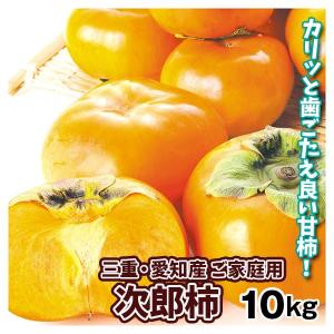 柿 約10kg 次郎柿 三重・愛知産 ご家庭用 送料無料 食品