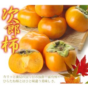 柿 10kg 次郎柿 ご家庭用 愛媛産 ご家庭...の詳細画像1