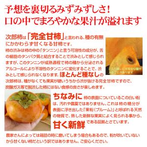 柿 10kg 次郎柿 ご家庭用 愛媛産 ご家庭...の詳細画像3