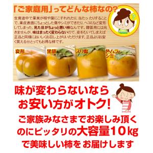 柿 10kg 次郎柿 ご家庭用 愛媛産 ご家庭...の詳細画像4