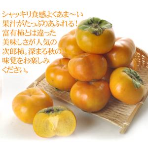 柿 10kg 次郎柿 ご家庭用 愛媛産 ご家庭...の詳細画像5