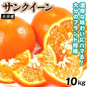 みかん 10kg サンクイーン 大分産 ブランド セミノール 柑橘 果物 フルーツ 送料無料 食品