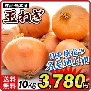 玉ねぎ 佐賀・熊本産 たまねぎ 10kg  食品