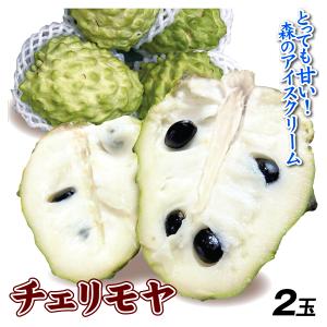 チェリモヤ 2玉 チリ産 ご家庭用 冷蔵便 送料無料 食品｜seikaokoku