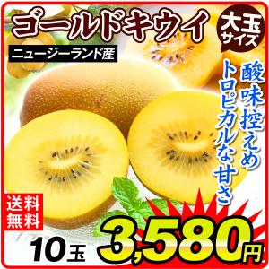 キウイ 10玉 ゴールドキウイ ニュージーランド産 黄肉 大玉 送料無料 食品 フルーツ 果物 国華園｜seikaokoku