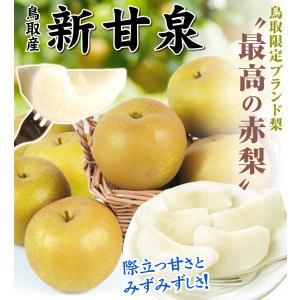 梨 鳥取産 新甘泉梨 10kg なし 甘い 和...の詳細画像1