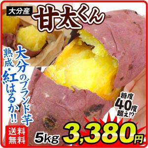 さつまいも 5kg 大分産 甘太くん ご家庭用 紅はるか べにはるか 大分のブランド芋 熟成 送料無料 食品 国華園