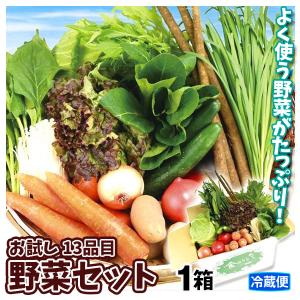 野菜セット お試し 国産 13種 1箱  葉物 根菜 野菜詰め合わせ