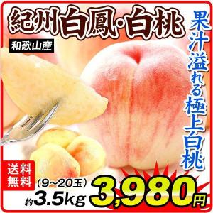 桃（ただいま出荷中）約3.5kg 和歌山産 紀州白鳳・白桃（15〜22玉）ご家庭用 はくほう 送料無料 もも ピーチ フルーツ 果物 国華園