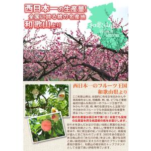 もも 2kg 紀州白鳳・白桃 和歌山産 白鳳 ...の詳細画像5