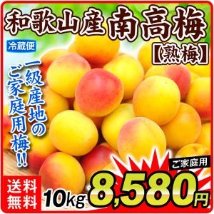 梅 10kg 南高梅 和歌山産 ご家庭用  冷蔵便 食品