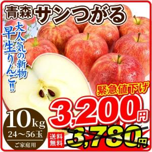 （数量限定）りんご 新物 10kg 青森産 サンつがる（24〜56玉）津軽 送料無料 林檎 フルーツ 食品 国華園