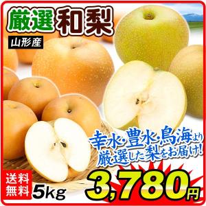 梨（数量限定）5kg 山形産 厳選和梨（幸水・豊水・鳥海のいずれか）品種おまかせ 庄内 産地直送 送料無料 ご家庭用 なし フルーツ 食品 国華園