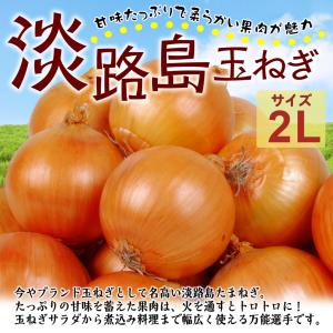 玉ねぎ 10kg 淡路島産 大玉たまねぎ 2L...の詳細画像1