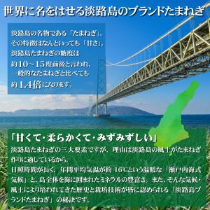 玉ねぎ 10kg 淡路島産 大玉たまねぎ 2L...の詳細画像2