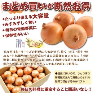 玉ねぎ 10kg 淡路島産 大玉たまねぎ 2L...の詳細画像4
