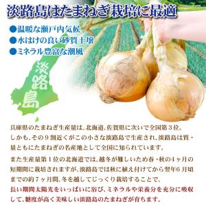 玉ねぎ 10kg 淡路島産 大玉たまねぎ 2L...の詳細画像3