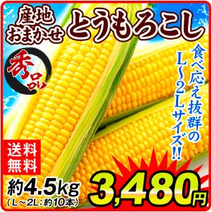 とうもろこし 産地おまかせ 約4.5kg（10本前後）L〜2Lサイズ 野菜 国華園｜seikaokoku