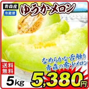 メロン 約5kg 青森産 ゆうかメロン【数量限定】 6〜3玉 ご家庭用 ゆうか 冷蔵 送料無料 食品 国華園