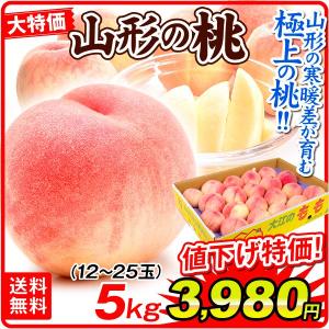 桃 5kg【限定特価】山形産 白桃（12〜25玉）1箱 送料無料 もも ピーチ フルーツ 果物 国華園 爆買