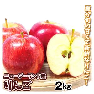 りんご 楽天市場】FRP 熟したりんご / Red Apple fr100026rd 『果物