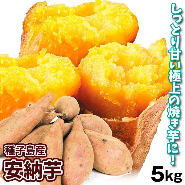 さつまいも 5kg 安納芋 正品 種子島産 送料無料 食品