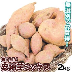 さつまいも 2kg 種子島産 安納芋ミックス ご家庭用 送料無料 食品｜seikaokoku
